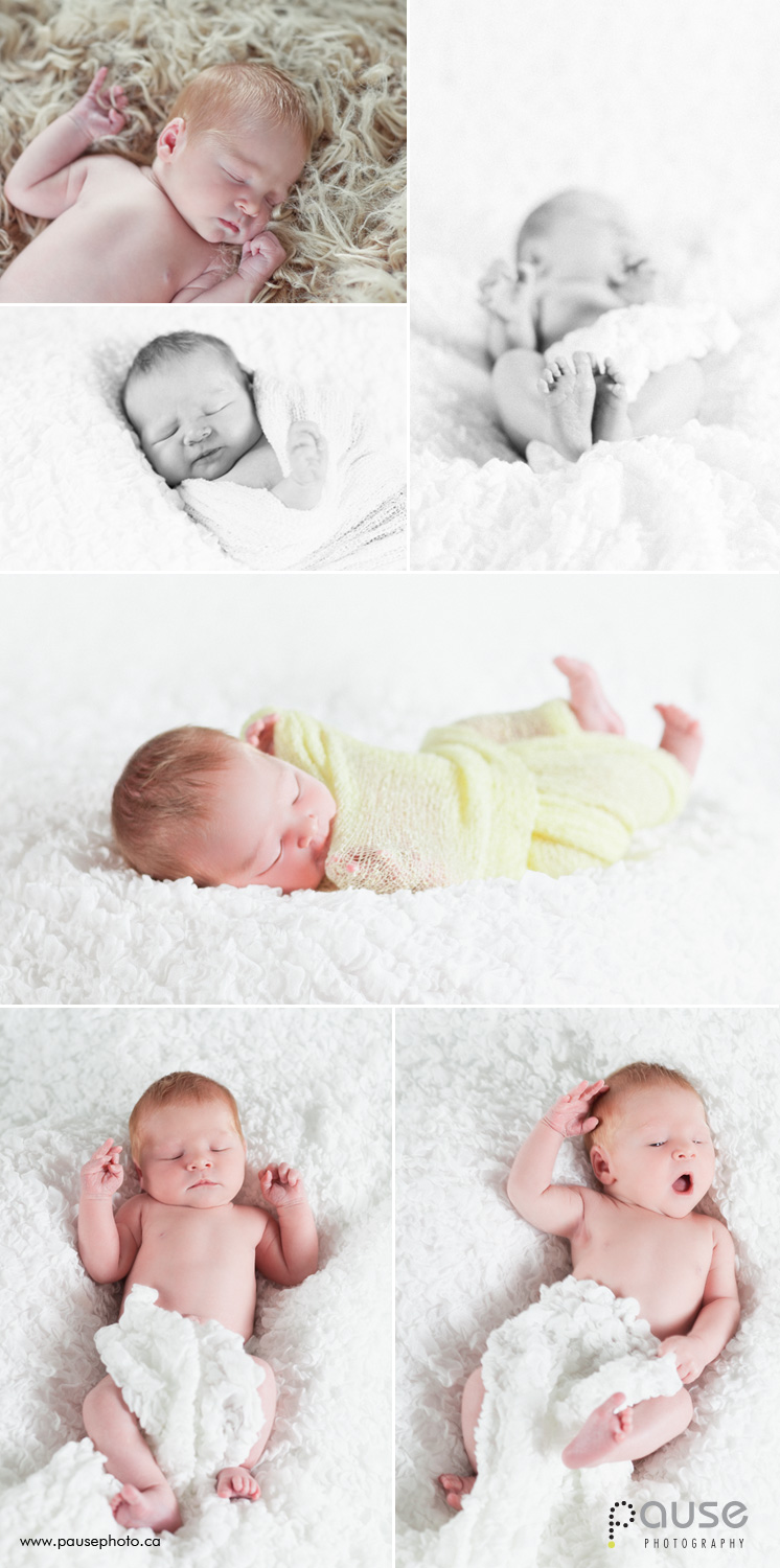 6 day old newborn photography