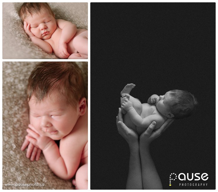 Newborn Photos by Pause Photography