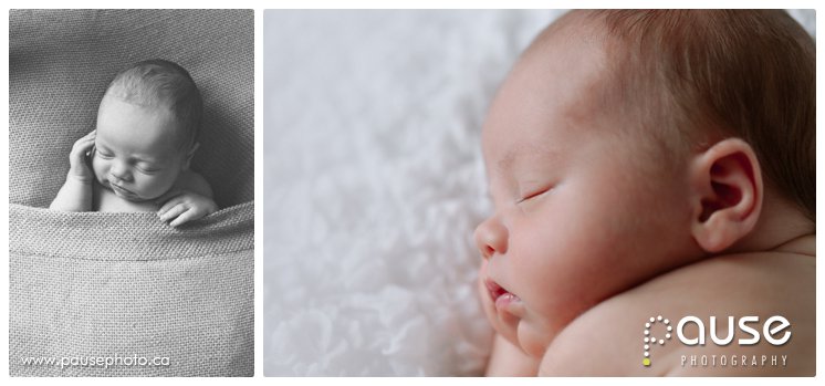 Edmonton Newborn Photographer, Posed Newborn Pictures